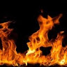 Profile picture of Michael Hooper